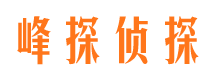 清水河侦探公司